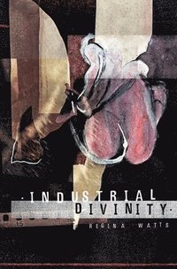 bokomslag Industrial Divinity