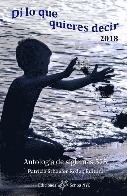 Patricia Schaefer Röder - Di lo que quieres decir 2018, Häftad