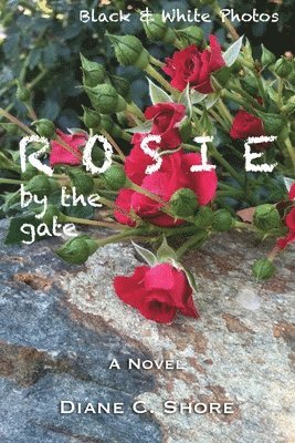 Rosie 4: by the gate (B/W Photos) 1