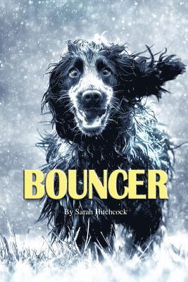 Sarah Hitchcock - Bouncer, Häftad