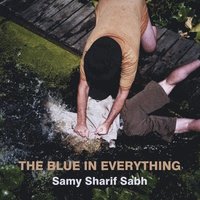bokomslag Blue in Everything