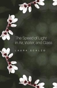 bokomslag The Speed of Light in Air, Water, and Glass