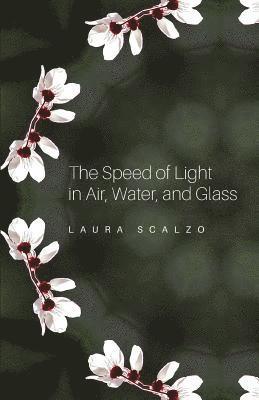 The Speed of Light in Air, Water, and Glass 1