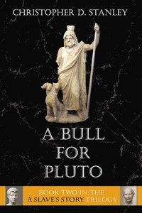 bokomslag A Bull For Pluto