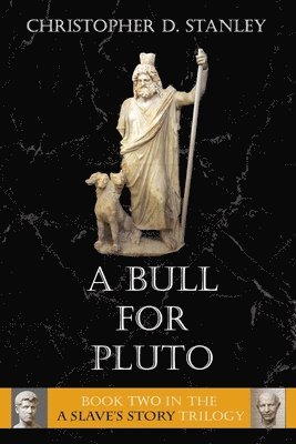 Stanley, C: Bull For Pluto, Häftad