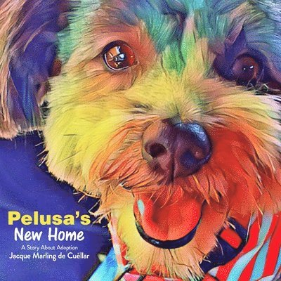 Pelusa's New Home 1