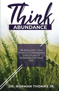 bokomslag Think Abundance