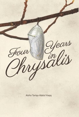 Four Years in Chrysalis 1