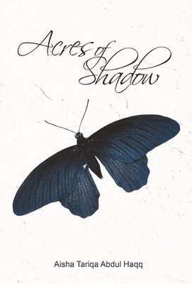 Acres of Shadow 1