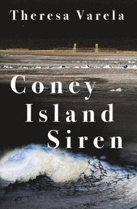bokomslag Coney Island Siren