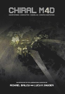 F Paul Wilson, Michael Bailey, Lucy A Snyder - Chiral Mad 4, Inbunden