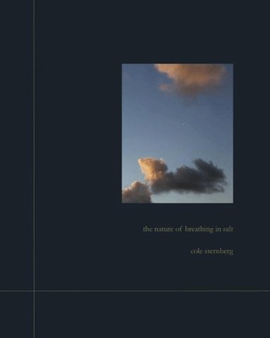 Cole Sternberg - Nature of Breathing in Salt, Inbunden