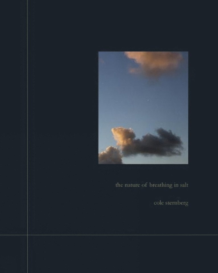 Cole Sternberg - Nature of Breathing in Salt, Inbunden