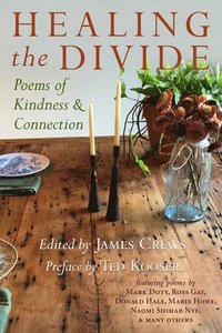 bokomslag Healing the Divide: Poems of Kindness and Connection