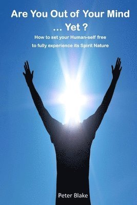Peter Cranston Blake - Are You Out of Your Mind ...Yet?: How to free your Human-self to fully experience its Spirit-Nature, Häftad