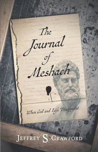 bokomslag The Journal of Meshach: When God and Life Disappoint