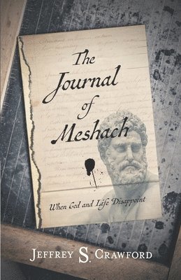 bokomslag The Journal of Meshach: When God and Life Disappoint