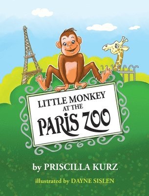 Little Monkey at the Paris Zoo 1