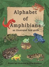 bokomslag The Alphabet of Amphibians