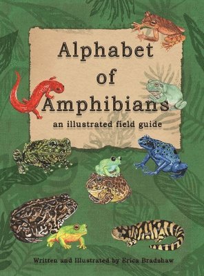 The Alphabet of Amphibians 1