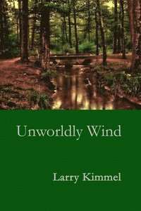 bokomslag Unworldly Wind
