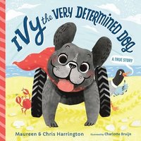 bokomslag Ivy the Very Determined Dog: A True Story