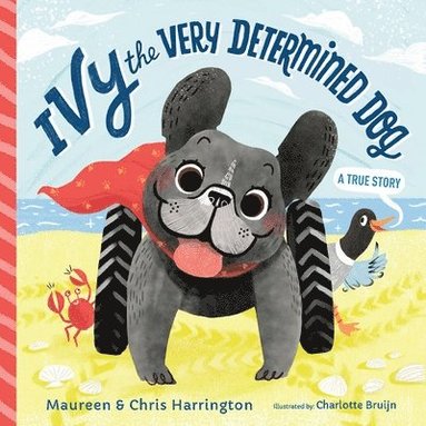 bokomslag Ivy the Very Determined Dog: A True Story