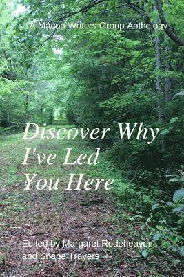 bokomslag Discover Why I've Led You Here: A Macon Writers Group Anthology