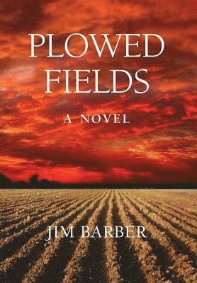 Plowed Fields 1