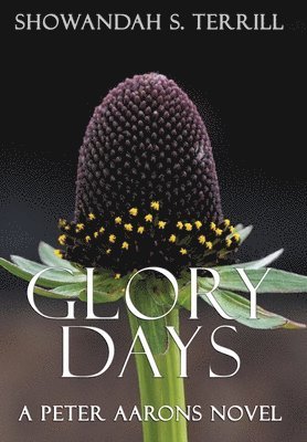 Glory Days (Remastered) 1