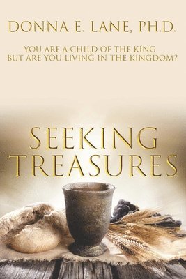 Donna E. Lane - Seeking Treasures, Häftad