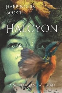 bokomslag Halcyon: A fantasy novel of love, loss, and rebellion