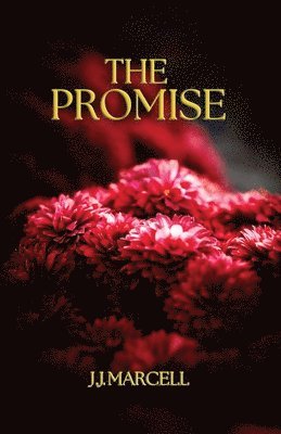 The Promise 1