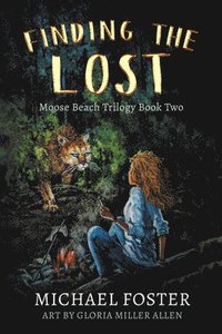 bokomslag Finding the Lost