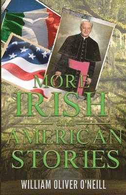 bokomslag More Irish and American Stories