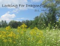bokomslag Looking for Dragonflies