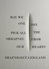bokomslag May We One Day Pick All the Shrapnel From Our Hearts