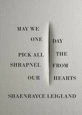 Shaenrayce Leigland - May We One Day Pick All the Shrapnel From Our Hearts, Häftad. Tillgänglighet: Lägg i varukorg