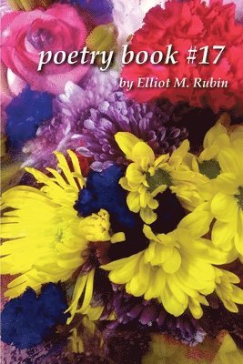 Poetry Book #17 by Elliot M. Rubin 1