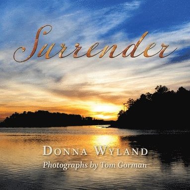 Donna Wyland - Surrender, Häftad