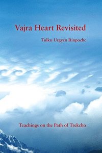 bokomslag Vajra Heart Revisited