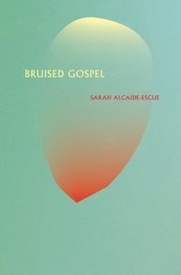 bokomslag Bruised Gospel