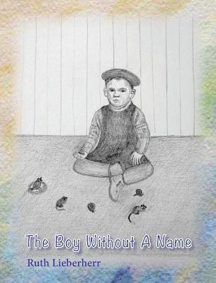 bokomslag Boy Without A Name