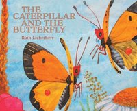 bokomslag Caterpillar and the Butterfly