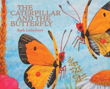 bokomslag The Caterpillar and the Butterfly