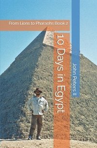 bokomslag 10 Days in Egypt