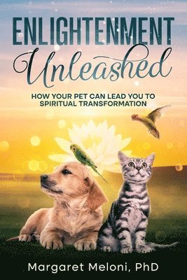 Enlightenment Unleashed