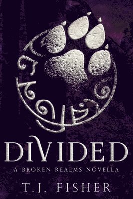 bokomslag Divided