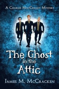 bokomslag The Ghost in the Attic