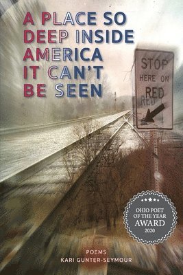 Kari Gunter-Seymour, Kari, Gunter-Seymour, Hayley Mitchell Haugen, Hayley Mitchell, Haugen - Place So Deep Inside America It Can't Be Seen, Häftad